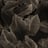 Bild von 